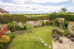 Photo 11- click for photo gallery